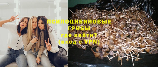 таблы Вуктыл