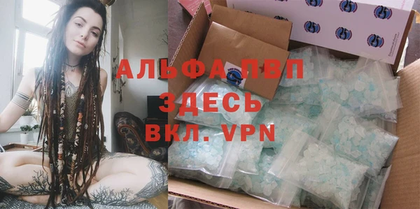 мет Алексин
