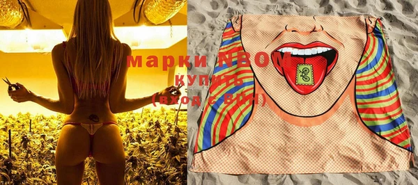 хмурый Алзамай