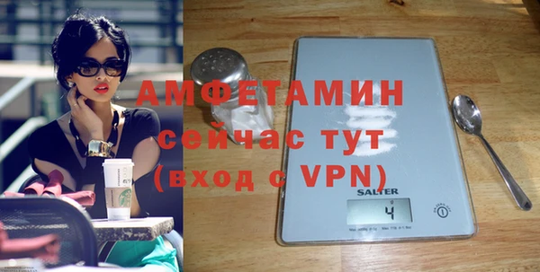 мет Алексин