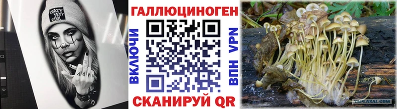 Галлюциногенные грибы ЛСД  Краснообск 